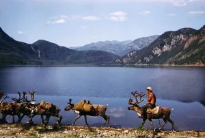Paysage d'ete en Republique Sakha (Yakoutie), Siberie